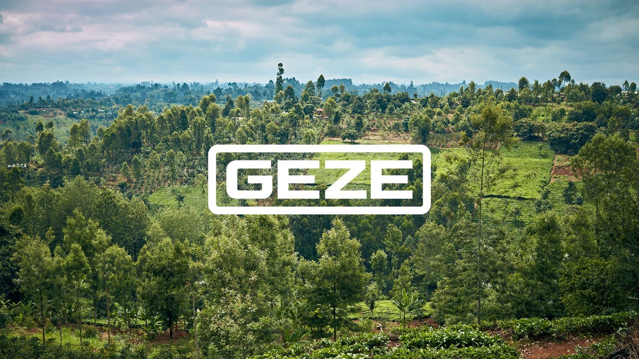 Planting a company forest: GEZE and Treedom | Let's Green The Planet!